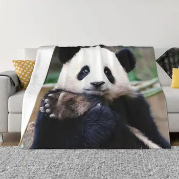 Одеяло Fubao Aibao Panda Fu Bao Зимнее Теплое Фланелевое Покрывало с Защитой от скатывания для Прочного И Доступного Использования Изображение