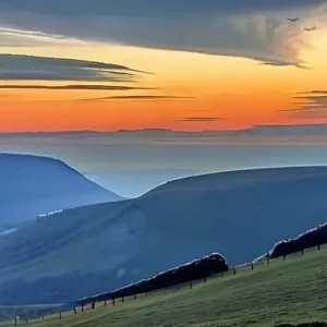 Почему утро задаёт тон всему дню